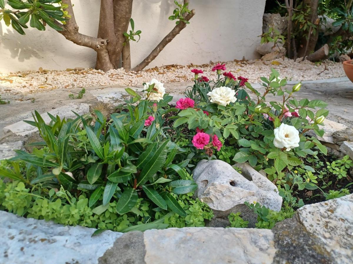 Apartmani Milena Barbat na Rabu Exterior photo
